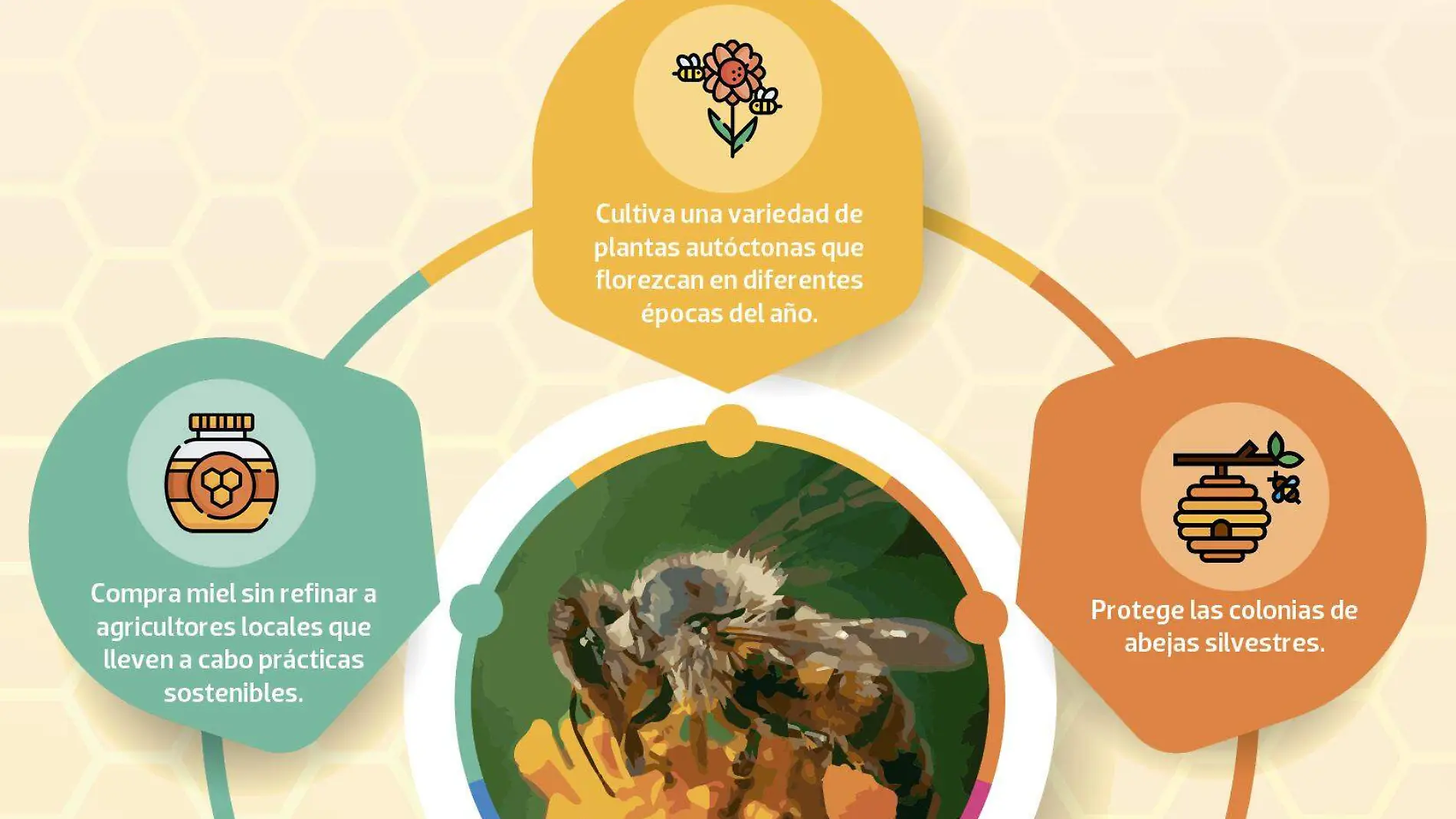 infografía abejas